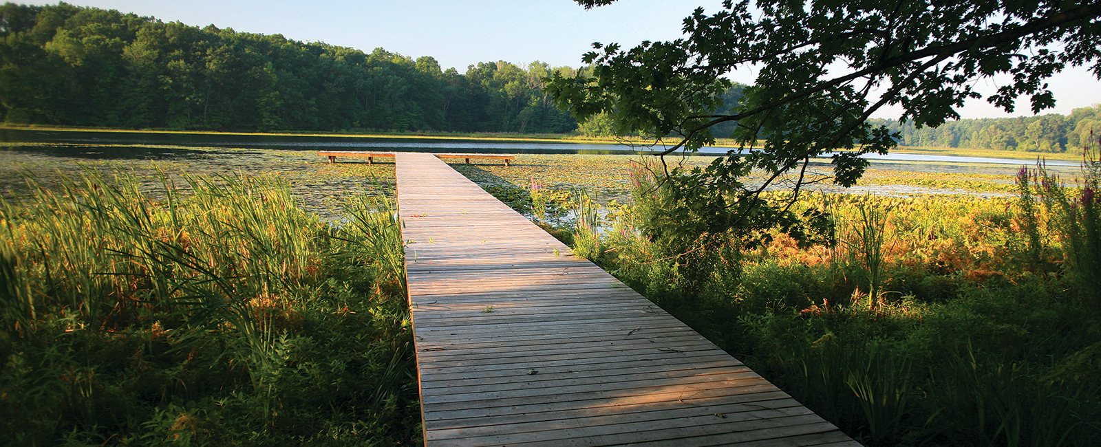 Real Estate Gull Lake View Buy or Rent with us Today