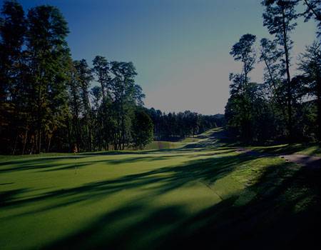 Gull Lake Golf Course - Image 10