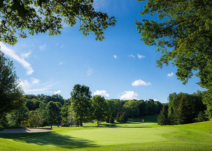 Golf Course in Hillman, MI, Public Golf Course Near Atlanta, Posen, Rust,  Northern Michigan, MI