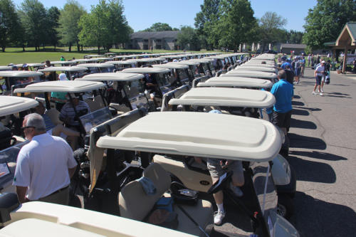 Outing Carts